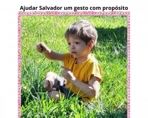 Leilão Solidário Associação APAlavra
