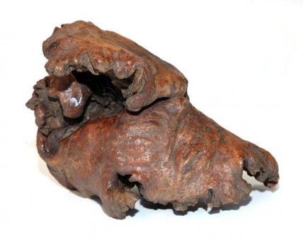 Tronco de Árvore