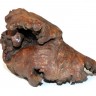 Tronco de Árvore