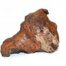 Tronco de Árvore