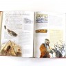 Livro de Neil Philip
