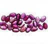 RUBIS FORMA OVAL