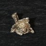 Pingente em Prata