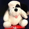 Peluche com Música