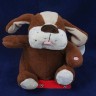 Cão musical