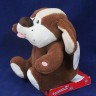 Cão musical