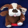 Cão musical