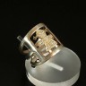 Anel em Prata 925 e Ouro 375
