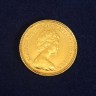 Meia Libra em Ouro 1982