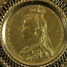 Medalha em Ouro com Libra
