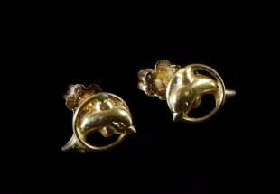 Brincos em Ouro (19.2 Quilates)