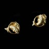 Brincos em Ouro (19.2 Quilates)