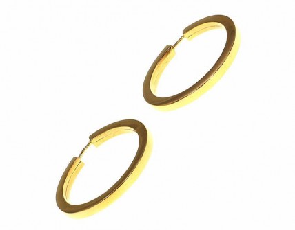 Argolas em Ouro (19.2 Quilates)