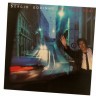 Um Disco de Vinil de Sérgio Godinho 