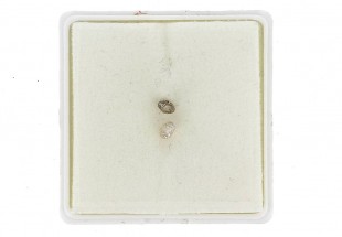 2 DIAMANTES em Talhe Redondo Brilhante 0,45Cts