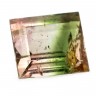 TURMALINA Natural Verde e Rosa em talhe Retangular 10,35 CTS