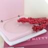 Porta Cds Hello Kitty - PRATA 925