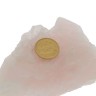 Meia Libra, em OURO 22 kl – 1896