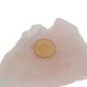 Meia Libra, em OURO 22 kl – 1896