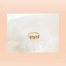 Anel BRIOR com 61 DIAMANTES em OURO 19,2kl