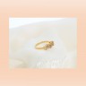 Anel BRIOR com 61 DIAMANTES em OURO 19,2kl