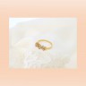 Anel BRIOR com 61 DIAMANTES em OURO 19,2kl
