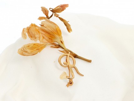 Alfinete Peito em PRATA 835