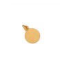 Pendente em OURO 19,2kl