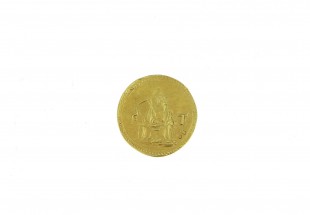 Moeda em OURO 19,2 kl