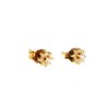 Brincos em OURO 19,2 kl