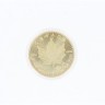 Moeda 1 Oz Gold Coin