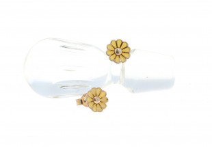 Brincos em PRATA 925