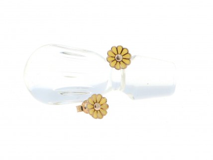 Brincos em PRATA 925