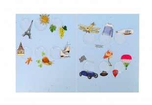 Coleção de 12 Moedas Comemorativas 