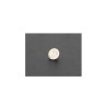 Diamante Round Brilhante 0.5cT