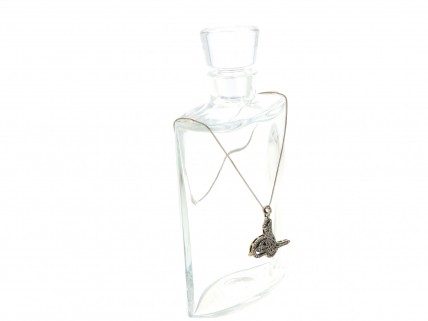 Fio com Medalha em PRATA 925