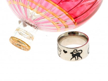 Aliança em PRATA 925