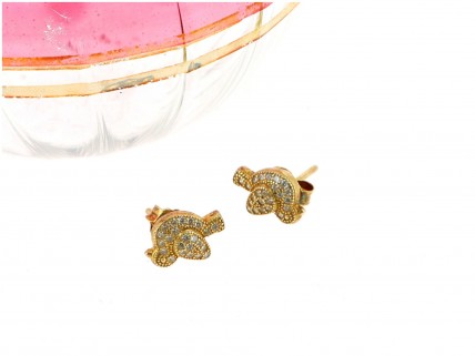 Brincos em PRATA 925