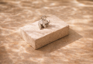 Pendente em PRATA 835