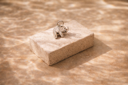 Pendente em PRATA 835