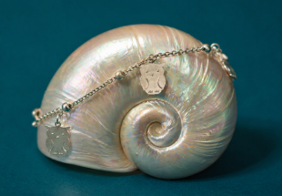 Pulseira em PRATA 925