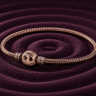 Pulseira CHAM em PRATA 925