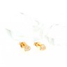Brincos em OURO 19,2K
